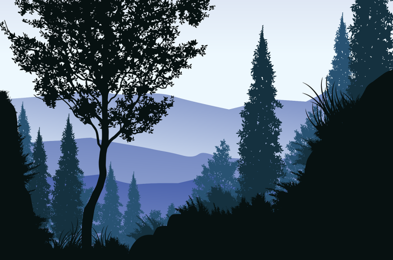 Back to Articles  Warning Signs Your Windsor Woods Home's Air Ducts Need Professional Cleaning