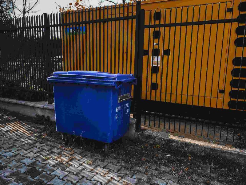 Beyond Poverty: Exploring the Diverse Motivations of Dumpster Divers