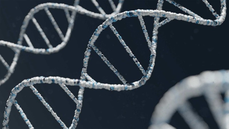 Decoding Family Connections: The Science Behind Avuncular DNA Testing