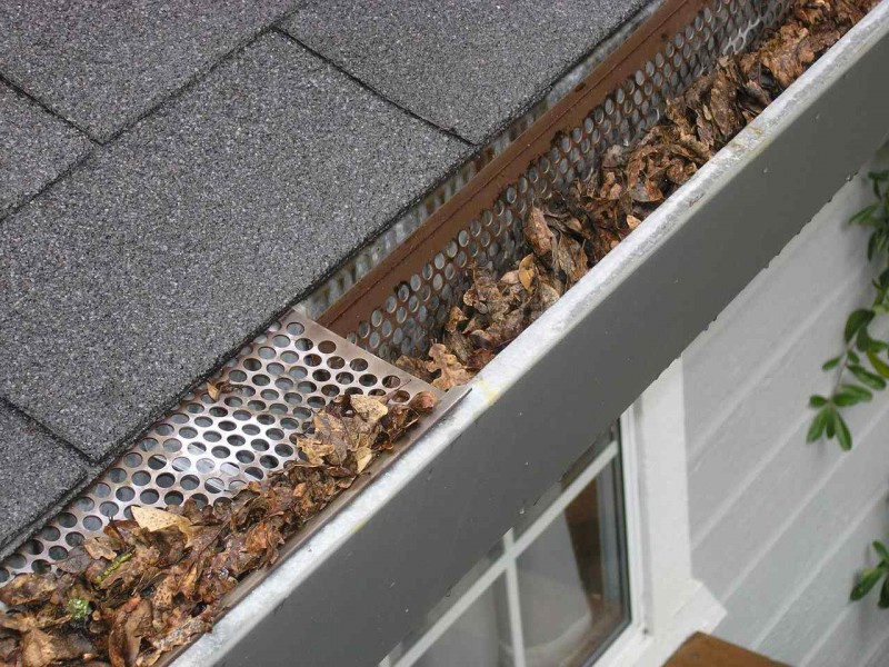 do-we-need-gutters-if-there-are-no-trees-around-the-house-6352ded815d0c.jpg