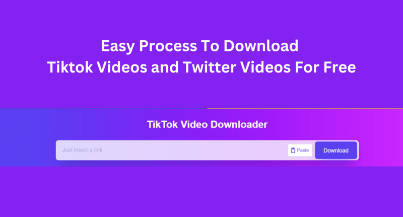 Easy Process To Download Tiktok Videos and Twitter Videos For Free