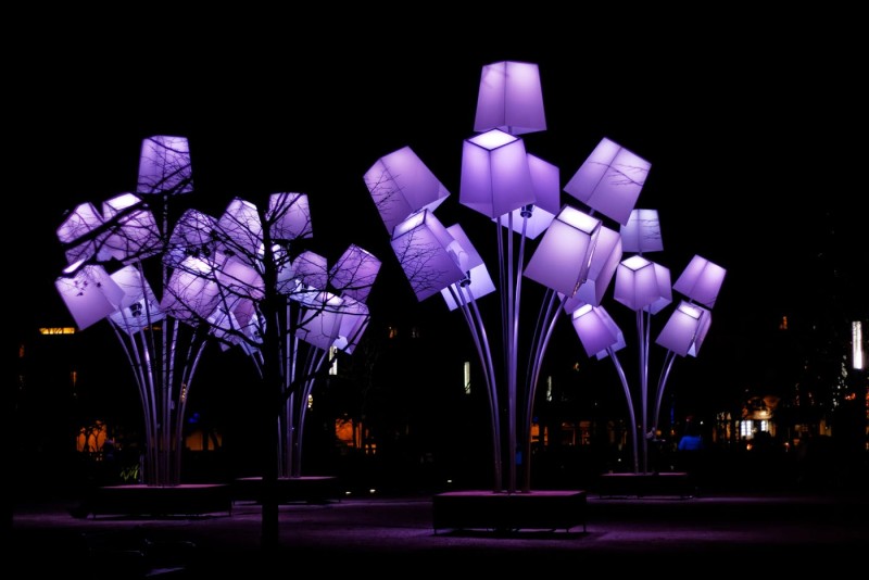 Elevating Your Garden Aesthetics with Safe and Modern Outdoor Lighting