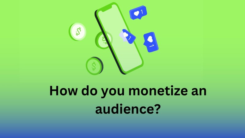 How do you monetize an audience?