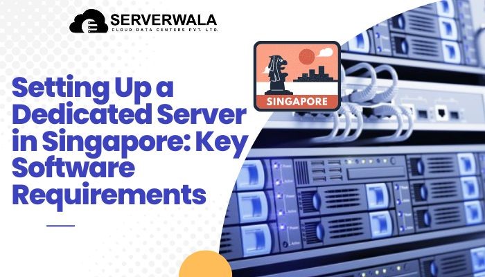 Setting Up a Dedicated Server in Singapore: Key Software Requirements