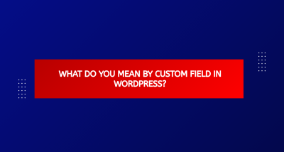 What Do You Mean By Custom Field In WordPress?